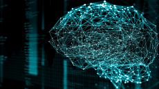 An abstract network in the shape of a brain